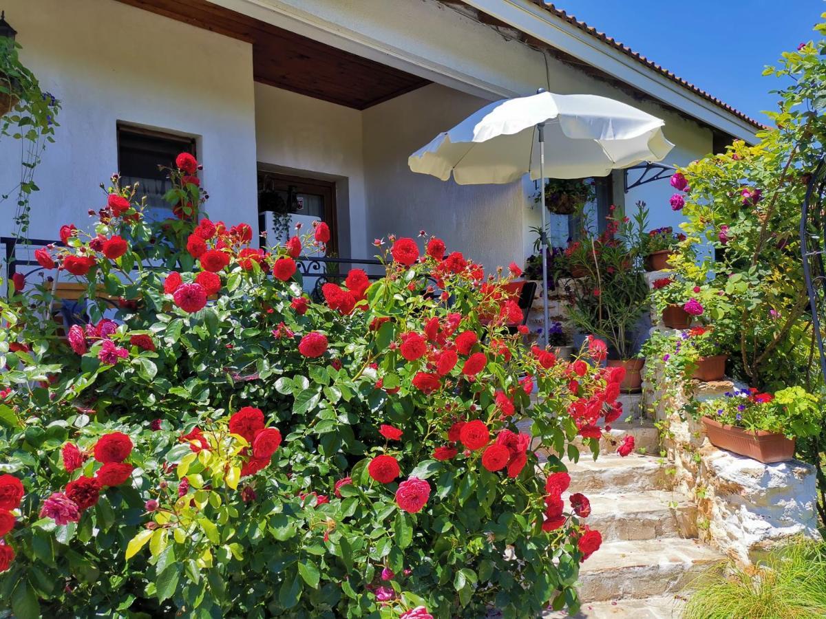 House Albena Hotell Durankulak Eksteriør bilde